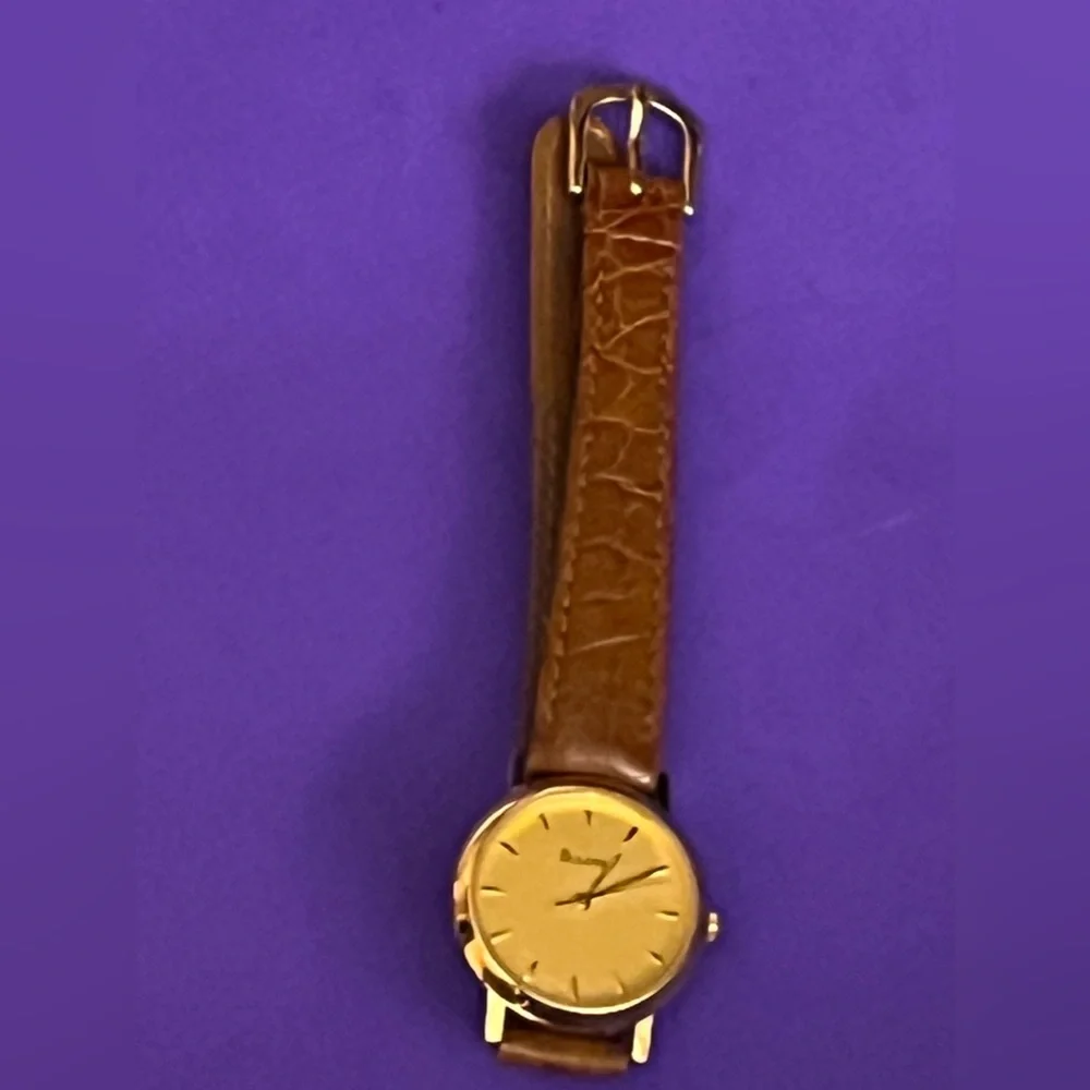 Bulova handsome men
